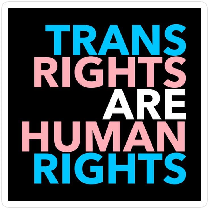 This may contain: the words transs rights are human rights in blue and pink on a black background